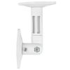 Cmple – Universal Speaker Wall Mounts for Satellite Speakers - Adjustable Tilt and Swivel Ceiling Wall Speaker Brackets - 1 Pair (White)
